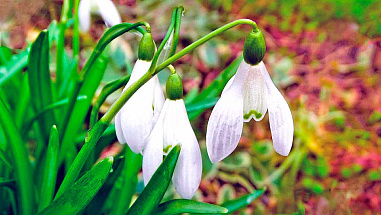 Что можно отметить в этот день