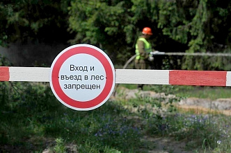 Запрет на пребывание в донских лесах продлен еще на две с половиной недели
