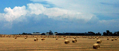 Продукт для души_23982