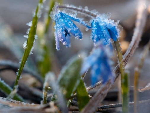 Источник фото: kubnews.ru