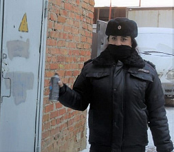 Со «знаками дьявола» в Ростове будут бороться с помощью …редких зверей