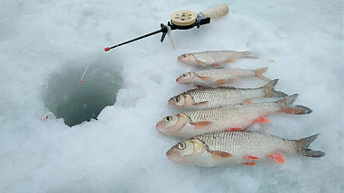 Что можно отметить в этот день