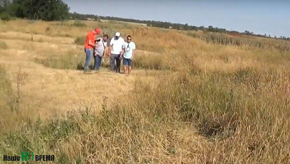 Инициативная группа жителей Кировской на месте доказала, что даже следов ста трех(!) скважин, предусмотренных проектом, в действительности нет. Инициативная группа жителей Кировской на месте доказала, что даже следов ста трех(!) скважин, предусмотренных проектом, в действительности нет.