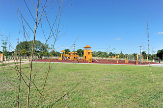 В парке «Донском» в Старочеркасске засохли деревья и кусты