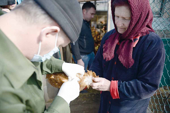 Плановые обработки животных и птицы – залог безопасности продукции.