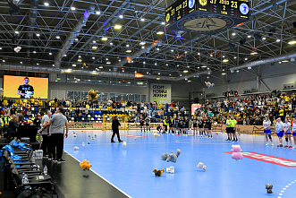 ГК «Ростов-Дон» одержал победу в первом матче нового года