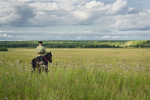 В Ростовской области казаков заставили вернуть земли государству