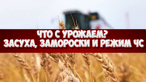 В федеральном Минсельхозе оценили виды на урожай в Ростовской области