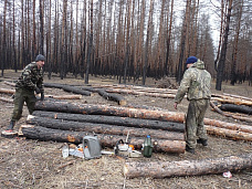 Лес спит – работа кипит