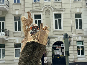 Старые деревья: жизнь после жизни…