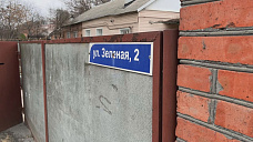 Собственница земельного участка на Зелёной в Ростове высадила 14 новых деревьев на проспекте Сельмаш