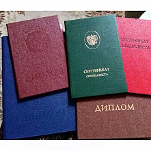 Донская прокуратура добилась блокировки сайта по продаже дипломов