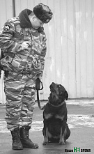 Мы пишем историю страны