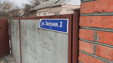 Собственница земельного участка на Зелёной в Ростове высадила 14 новых деревьев на проспекте Сельмаш