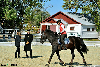 Французские всадники в донском хуторе