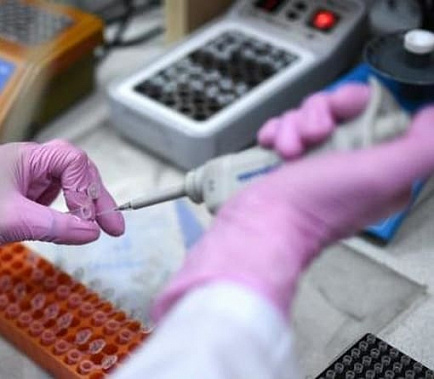 В Ростовской области выявили еще 205 новых случаев коронавируса