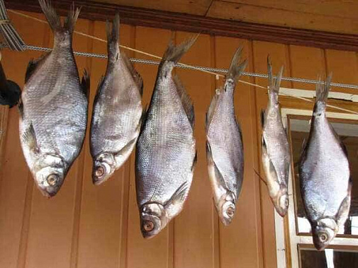 Готовьте рыбу правильно