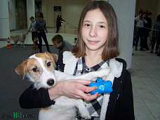 Выгул без последствий