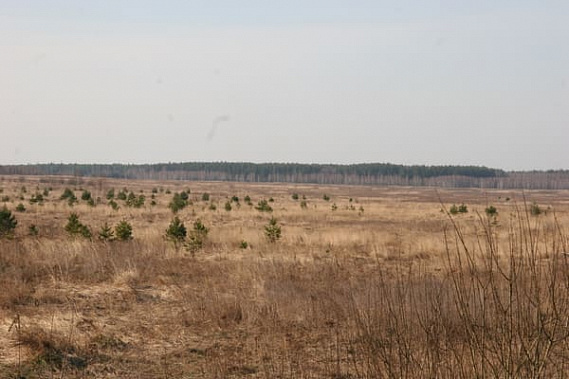 Жителей Мартыновского района оштрафовали за тростник на пашне