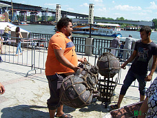 А у нас – Донливуд!