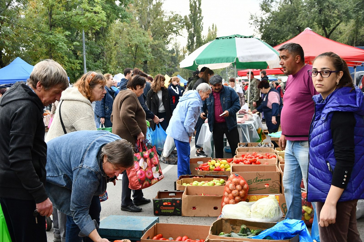 Фото взяты из тг-канала Правительства РО