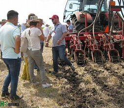 Как иностранцы в Константиновске поле пахали