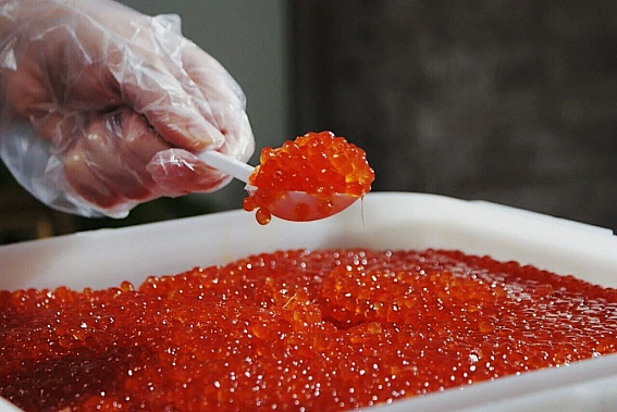 На Дону будут судить предпринимателя за незаконную торговлю красной икрой