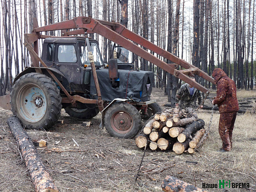 Лес спит – работа кипит