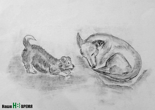 «Смотри со мной»