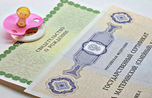 Донские полицейские раскрыли ОПГ, обналичивающую маткапитал