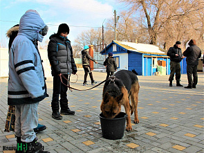 Ребячьему восторгу пределов не было