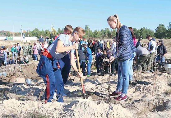 На участке Ростовской области в эколого-литературном лесопарке «Жемчужина Евразии» высажены все породы деревьев, упоминавшиеся в произведениях М.А. Шолохова. Фото c сайта www. минприродыро.рф