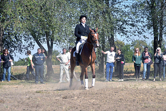 «Ход конем» выходит на прямую