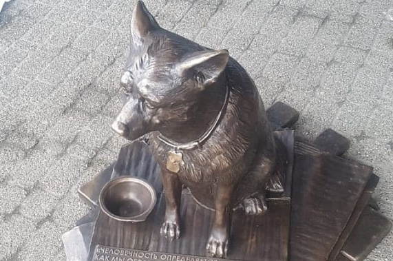 Про собаку Лизу и кое-что другое 