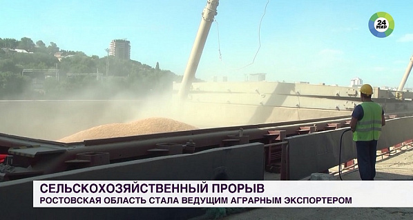 Ростовская область стала первой в списке регионов – экспортеров аграрной продукции