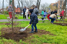 14 04 2025 Весенний день древонасаждения 2025 в Ростове