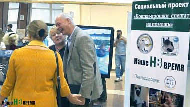 Как кошки-крошки звездами стали