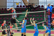 «Ростов-Волей» в ударе