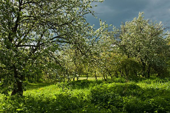 Фото сайта photosight.ru