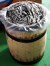 Не собираемся останавливаться_16710