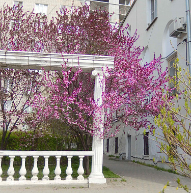 Весна в разгаре.