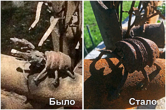 11.05 В Белой Калитве вандалы повредили памятную композицию