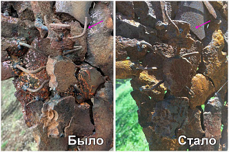 11.05 В Белой Калитве вандалы повредили памятную композицию