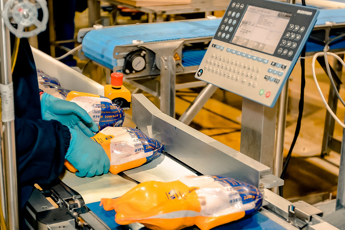 Фото взято с сайта: donland.ru 