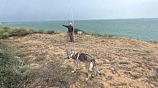 Астраханские и белорусские археологи начали раскопки в Цимлянском районе