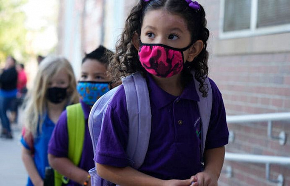 Хроники коронавируса: отвод экспертов, закрываются школы, в Новочеркасске сбились со счета