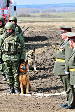 «Заслон-2015»