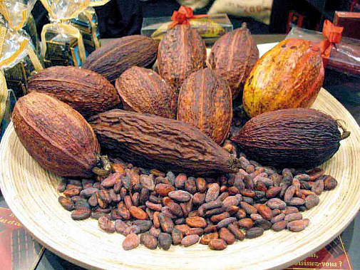 С возрастом – еще полезнее