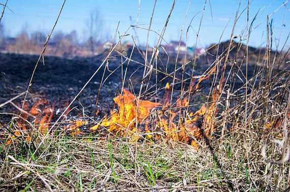 В ряде территорий Ростовской области до 8 августа сохранится чрезвычайная пожароопасность