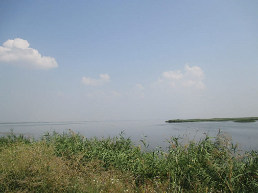 В Цимлянском водохранилище не хватает воды